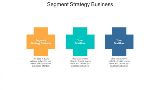 Segment strategy business ppt powerpoint presentation ideas themes cpb