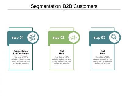 Segmentation b2b customers ppt powerpoint presentation slides show cpb