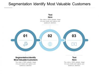 Segmentation identify most valuable customers ppt powerpoint presentation gallery cpb