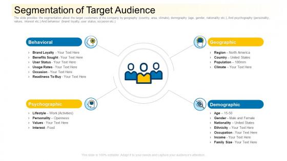 Segmentation of target audience community financing pitch deck ppt gallery skills