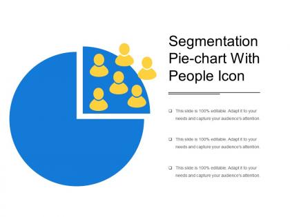 Segmentation pie chart with people icon
