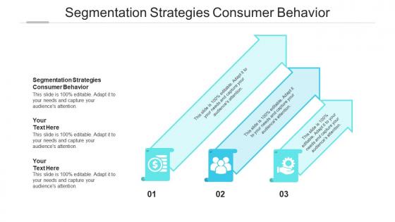 Segmentation strategies consumer behaviour ppt powerpoint presentation gallery outline cpb