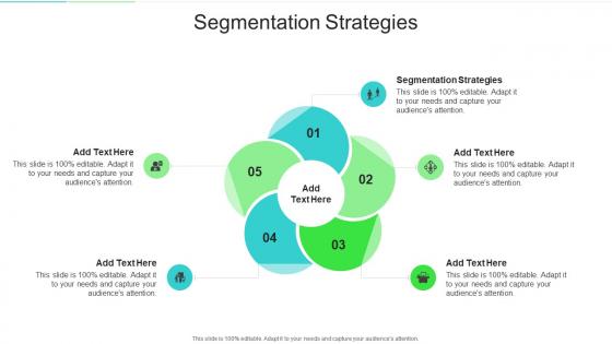 Segmentation Strategies In Powerpoint And Google Slides Cpb
