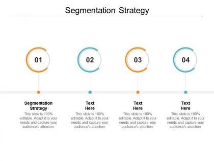 Segmentation strategy ppt powerpoint presentation ideas background images cpb