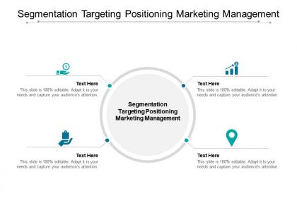 Segmentation targeting positioning marketing management ppt powerpoint presentation model cpb