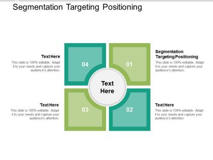 Segmentation targeting positioning ppt powerpoint presentation infographic template good cpb