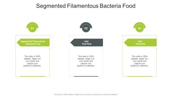 Segmented Filamentous Bacteria Food In Powerpoint And Google Slides Cpb