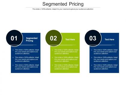 Segmented pricing ppt powerpoint presentation infographic template background image cpb
