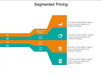 Segmented pricing ppt powerpoint presentation visual aids cpb