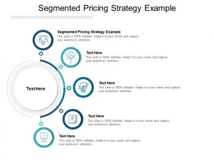 Segmented pricing strategy example ppt powerpoint presentation inspiration cpb