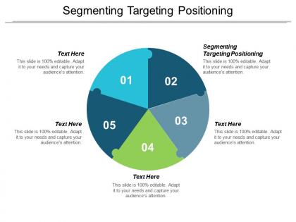 Segmenting targeting positioning ppt powerpoint presentation show objects cpb
