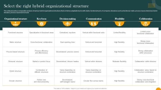 Select The Right Hybrid Organizational Structure How Digital Transformation DT SS