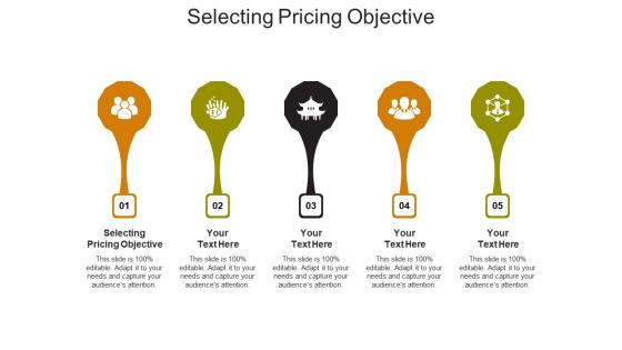 Selecting pricing objective ppt powerpoint presentation gallery sample cpb