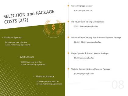Selection and package costs individual team ppt powerpoint presentation show