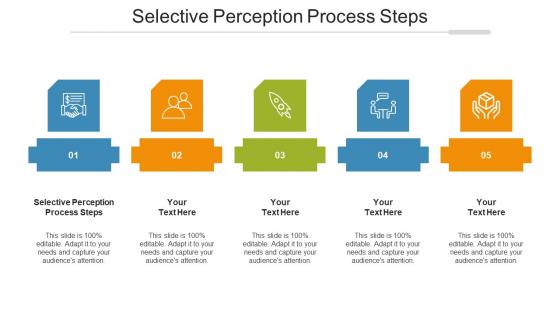 Selective Perception Process Steps Ppt Powerpoint Presentation Inspiration Guide Cpb