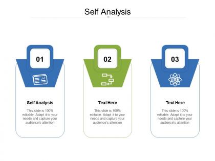 Self analysis ppt powerpoint presentation professional display cpb