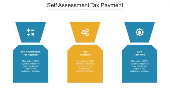 Self Assessment Tax Payment Ppt Powerpoint Presentation Portfolio Show Cpb