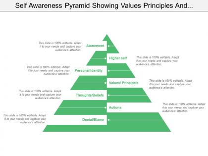 Self awareness pyramid showing values principles and actions