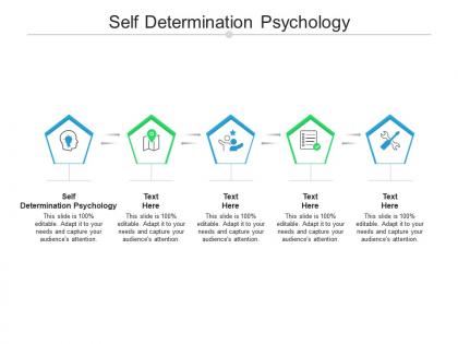 Self determination psychology ppt powerpoint presentation pictures example cpb