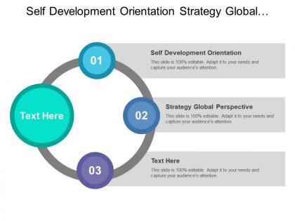 Self development orientation strategy global perspective operational excellence