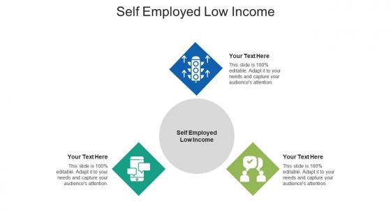 Self employed low income ppt powerpoint presentation gallery brochure cpb