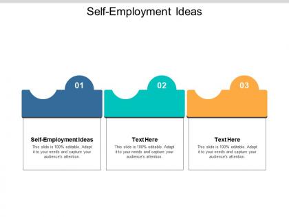 Self employment ideas ppt powerpoint presentation styles file formats cpb