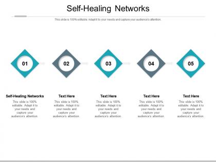 Self healing networks ppt powerpoint presentation portfolio mockup cpb