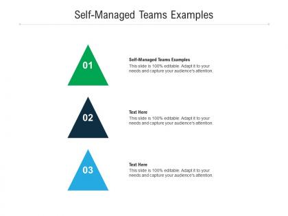 Self managed teams examples ppt powerpoint presentation show example cpb