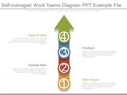 Self managed work teams diagram ppt example file