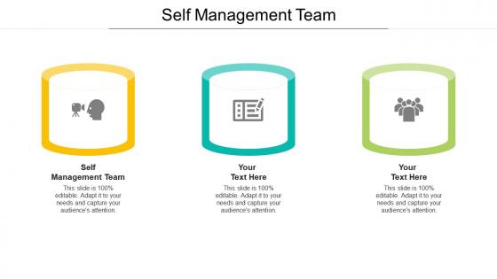 Self management team ppt powerpoint presentation file format ideas cpb