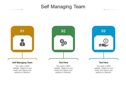 Self managing team ppt powerpoint presentation infographic template visual aids cpb