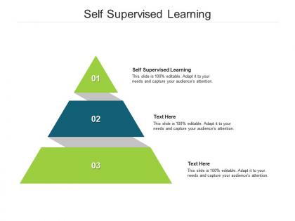 Self supervised learning ppt powerpoint presentation model objects cpb