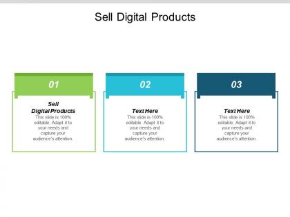 Sell digital products ppt powerpoint presentation professional template cpb