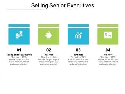 Selling senior executives ppt powerpoint presentation visual aids gallery cpb