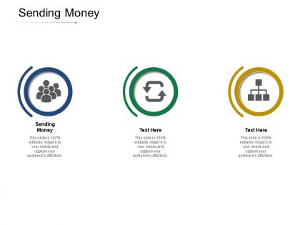 Sending money ppt powerpoint presentation slides graphics cpb