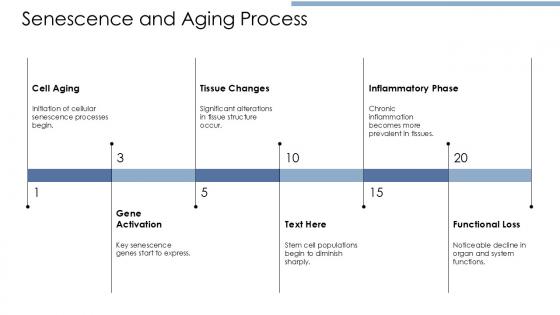 Senescence And Aging Process Senescence Genes PPT Template ACP PPT Example