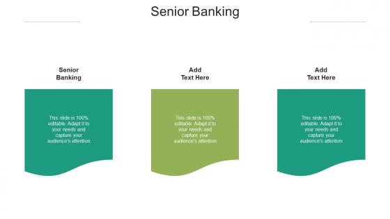 Senior Banking Ppt Powerpoint Presentation Summary Graphics Cpb