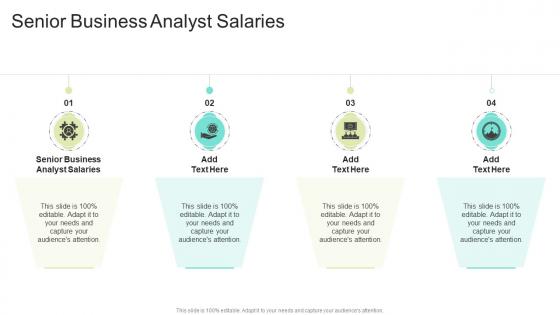 Senior Business Analyst Salaries In Powerpoint And Google Slides Cpb