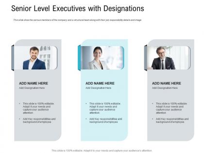 Senior level executives with designations pitch deck raise seed capital angel investors ppt themes