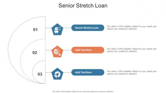 Senior Stretch Loan In Powerpoint And Google Slides Cpb