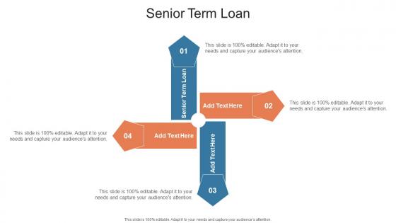 Senior Term Loan In Powerpoint And Google Slides Cpb