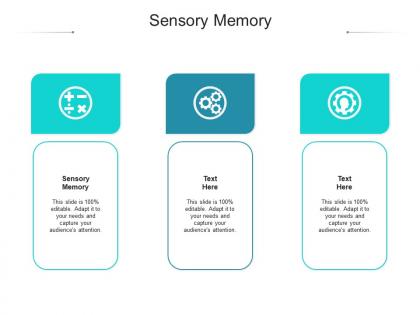 Sensory memory ppt powerpoint presentation icon example introduction cpb