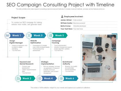 Seo campaign consulting project with timeline