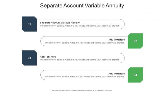 Separate Account Variable Annuity In Powerpoint And Google Slides Cpb