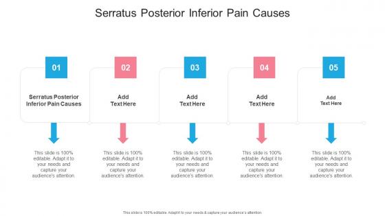 Serratus Posterior Inferior Pain Causes In Powerpoint And Google Slides Cpb