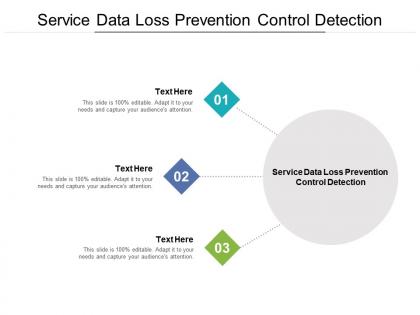 Service data loss prevention control detection ppt powerpoint presentation outline infographic template cpb