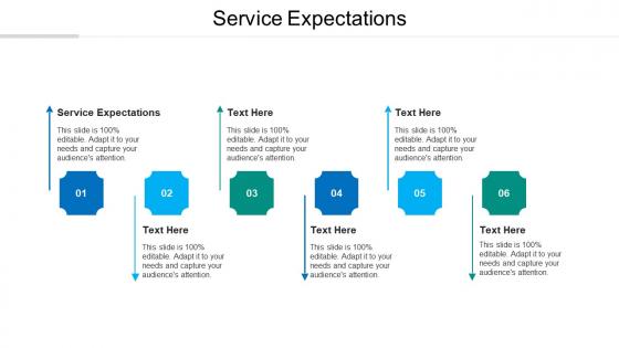Service expectations ppt powerpoint presentation inspiration themes cpb