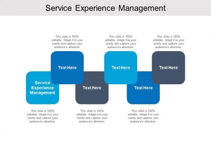 Service experience management ppt powerpoint presentation slides microsoft cpb