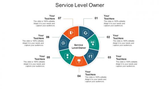 Service level owner ppt powerpoint presentation pictures professional cpb