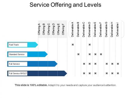 Service offering and levels powerpoint slide designs